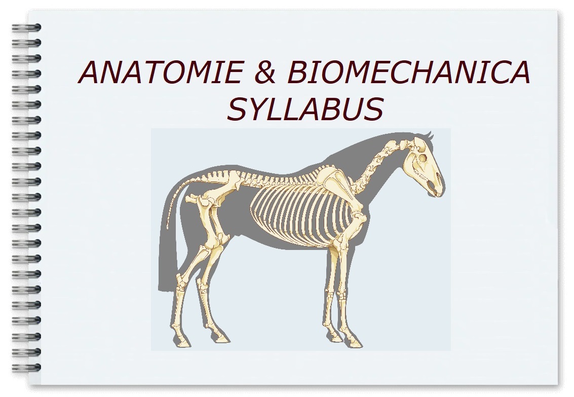 Syllabus Anatomie Biomechanica Paard Masja Fick