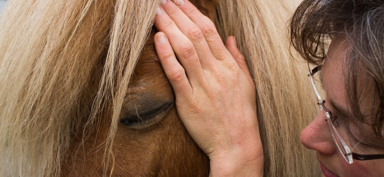 Masja Fick_cranio sacraal therapie voor paarden